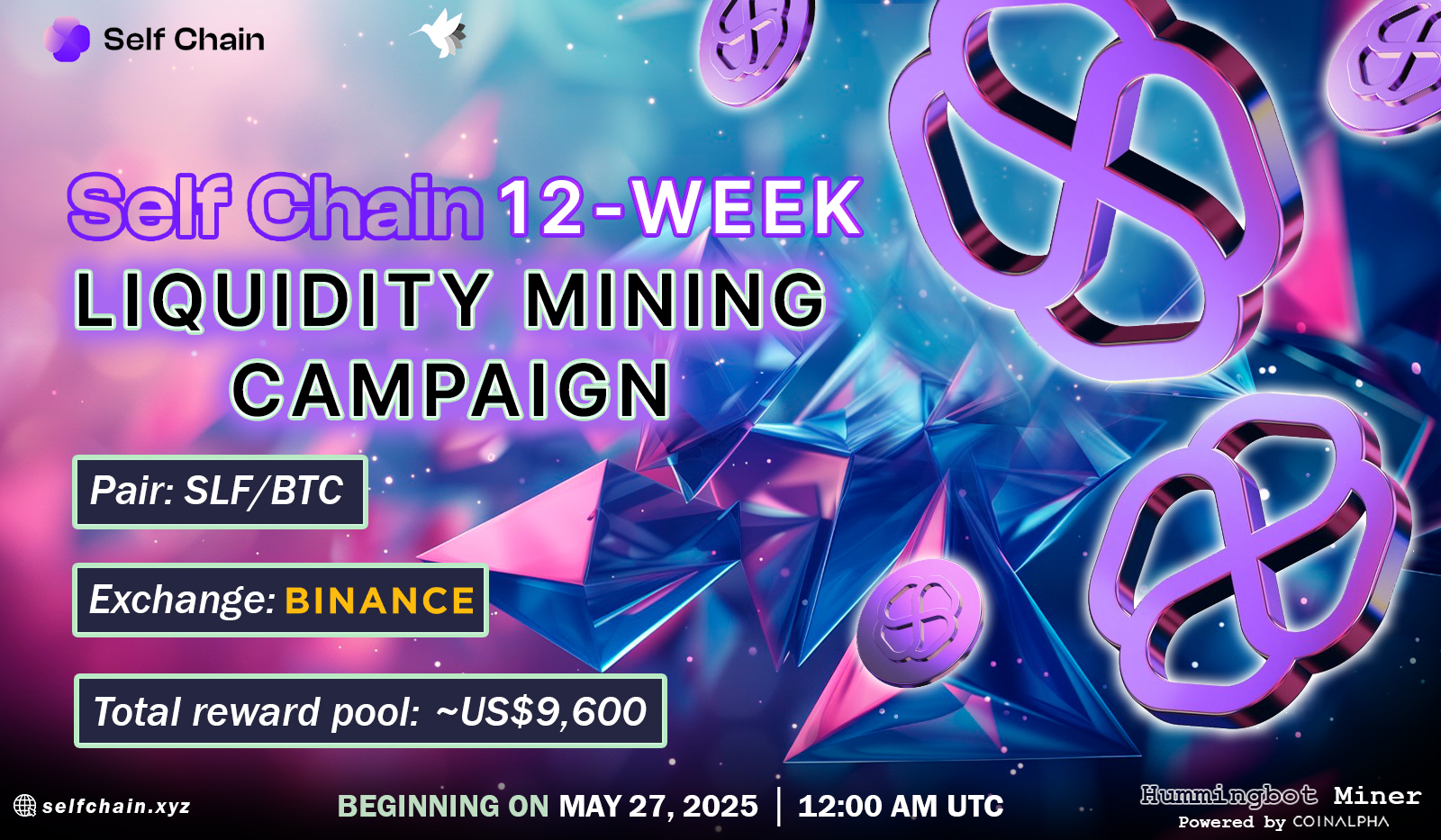 Selfchain.jpg
